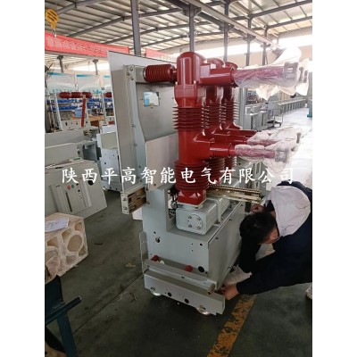 SFM-40.5/1250-31.5户内六氟化硫断路器