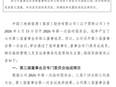 三峡能源管理层调整！