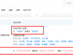 钟宝申任董事长！储能大厂超15位高管集体调整