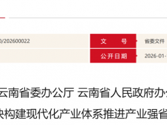 云南：提升绿氢使用比例，开展“新能源+氢氨醇”项目