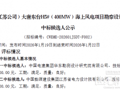 中电建华东院预中标！600MW海上风电项目