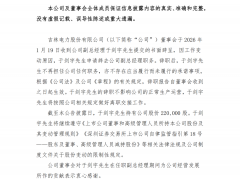 吉电股份副总辞职!